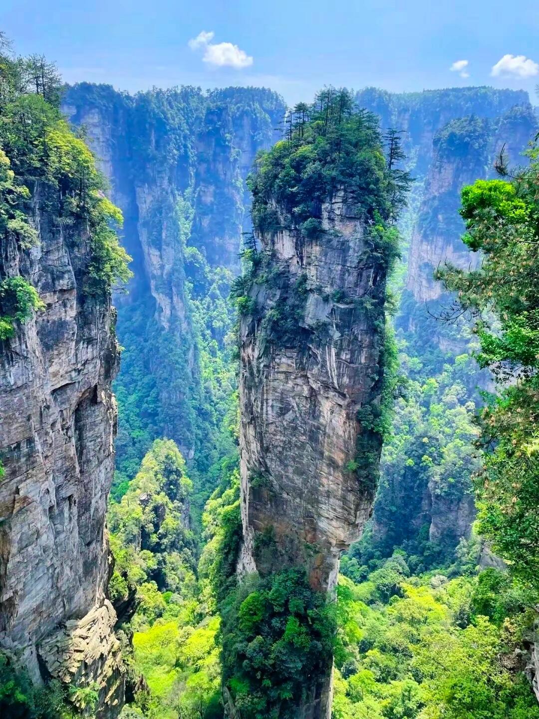 张家界国家森林公园 5A